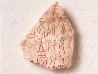 Oracle Bones; Shang dynasty (ca. 1675-1029 BC); 56 pieces
